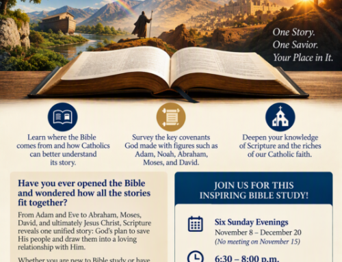 Genesis to Jesus – Starting Nov. 8